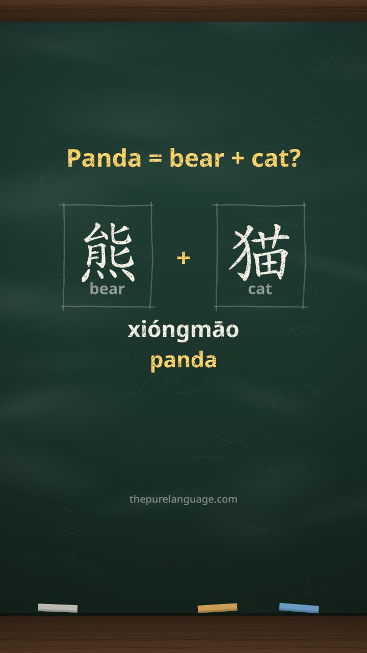 Lesson video: Bear-cat, meet the night shift: animals in Chinese. The parts are a memory trick; learn the whole animal name.